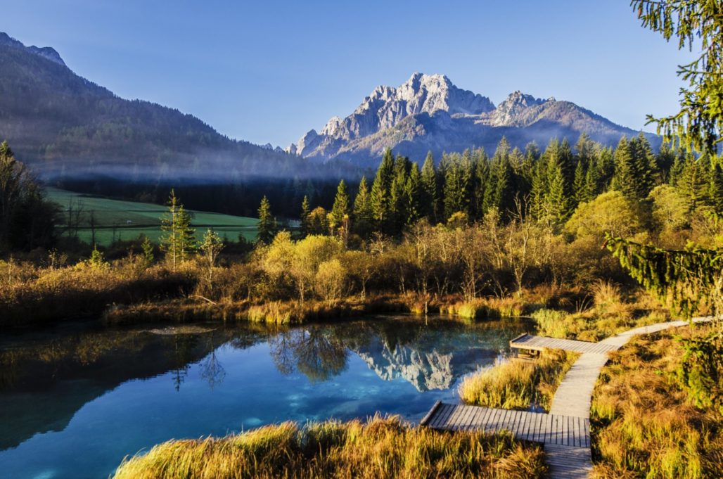 Mountain valley view.