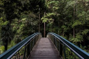 Read more about the article Taking Control of Irritability & Anger