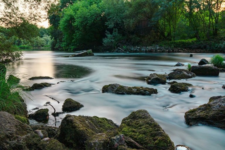 a river flowing with rocks and trees